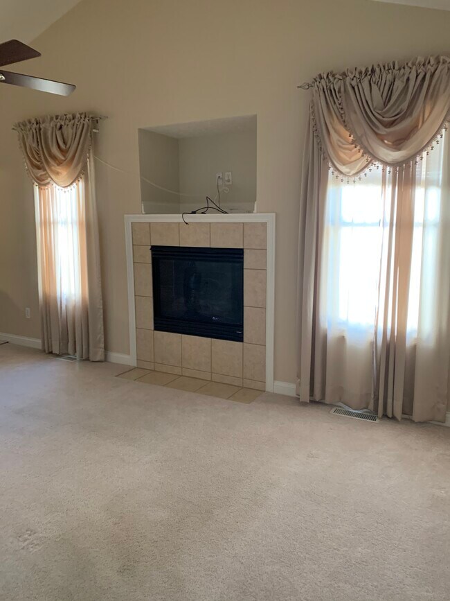 Living gas fireplace - 213 Hunter Ln
