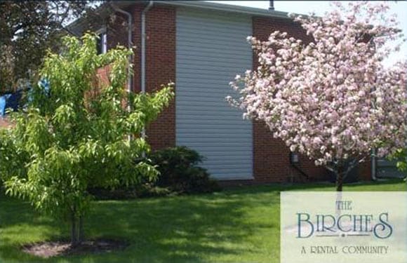 Building Photo - The Birches Apartments