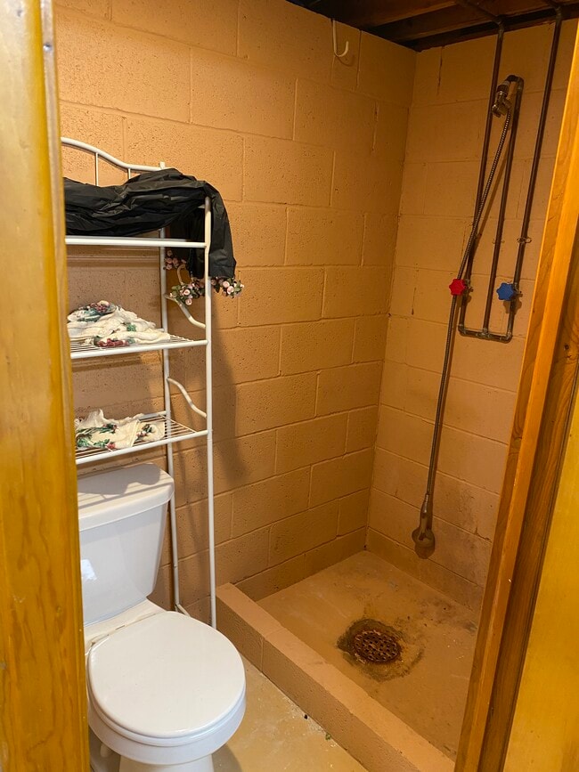 2119 St. Leo Basement Bath - 2119 Saint Leo St