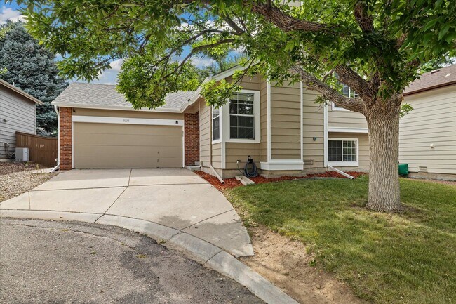 Foto del edificio - Beautiful 3 bed 2 bath Highlands Ranch Home!