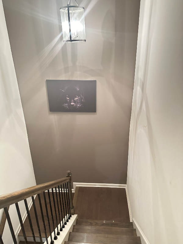 Foto del edificio - 2808 Ellis Pointe Ave
