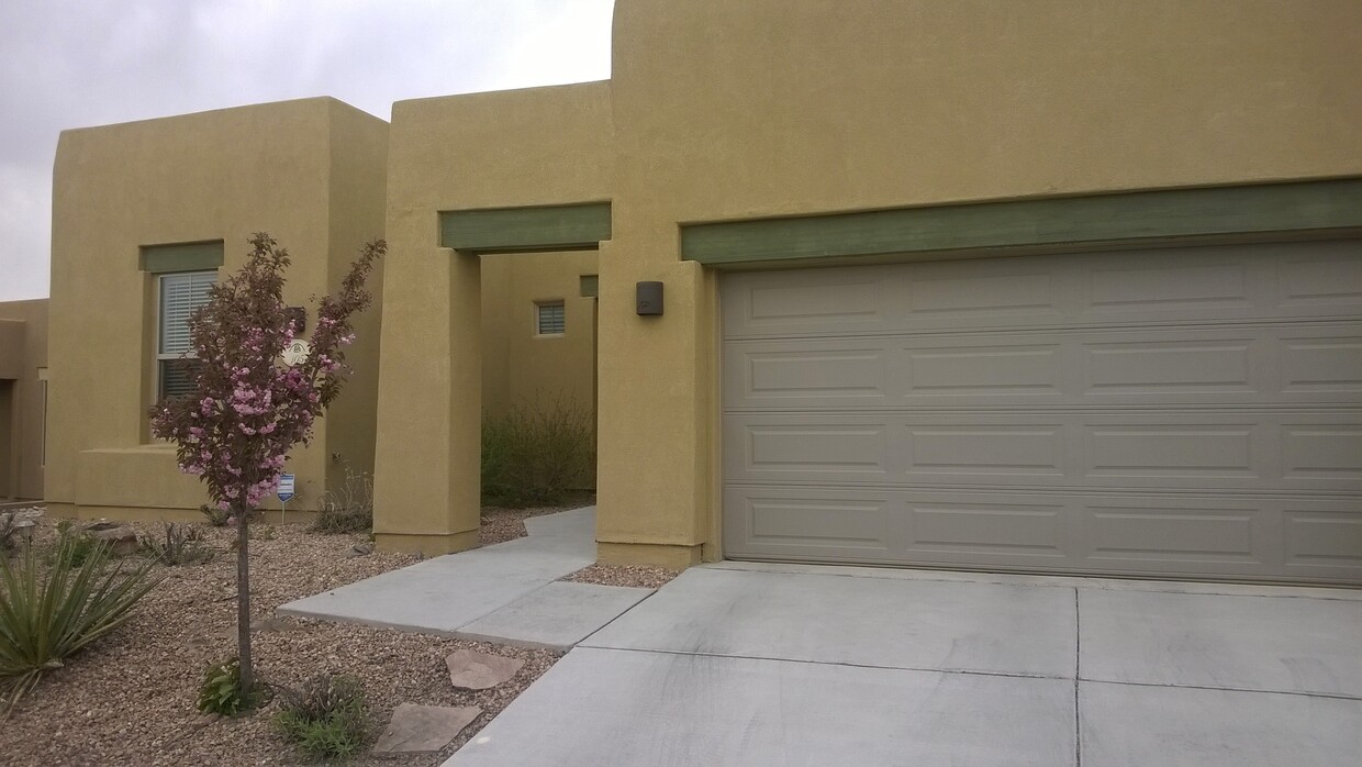 Primary Photo - Rancho Viejo Gem