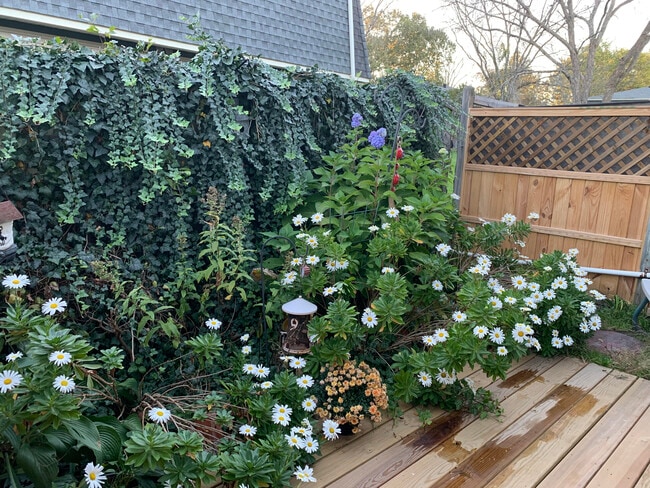 Building Photo - 170 E Hadley Rd