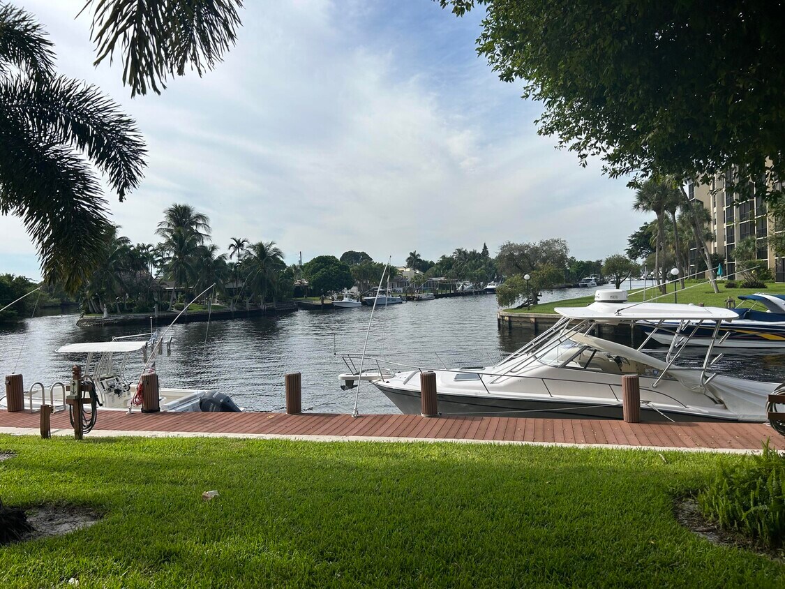 Primary Photo - 7 Royal Palm Way