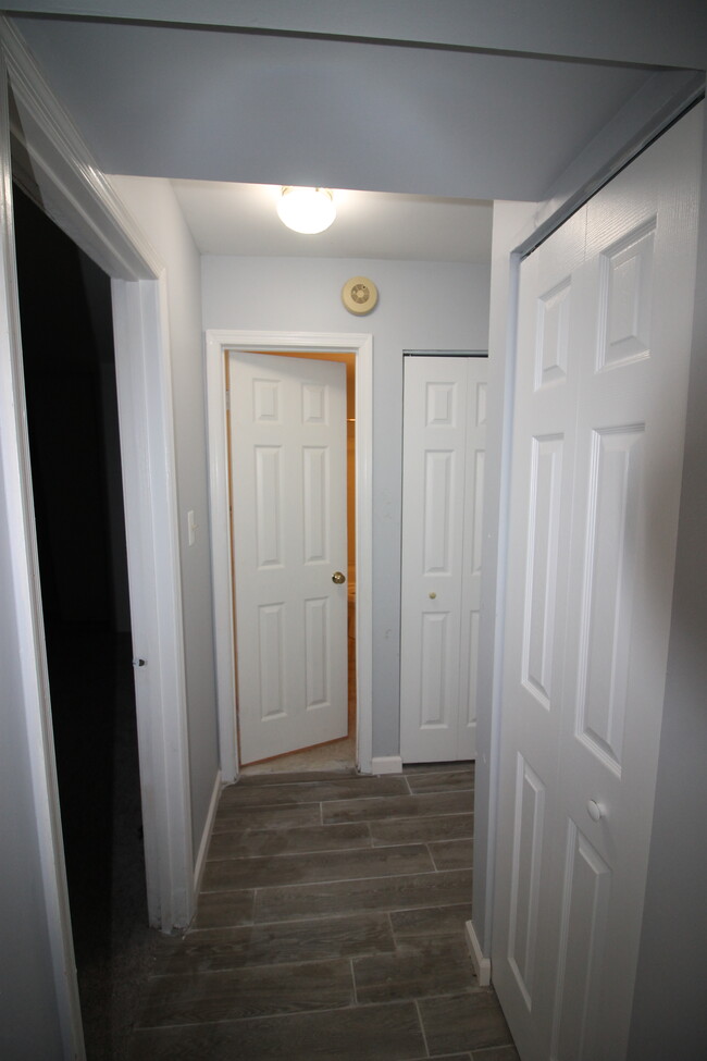 Hallway to bathroom - 13708 Flowing Brook Ct