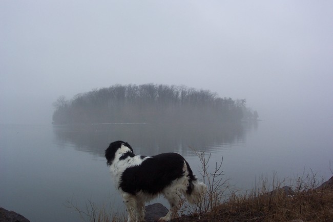 Baxter on the Causeway looking at Law Island - 208 Rail Rd