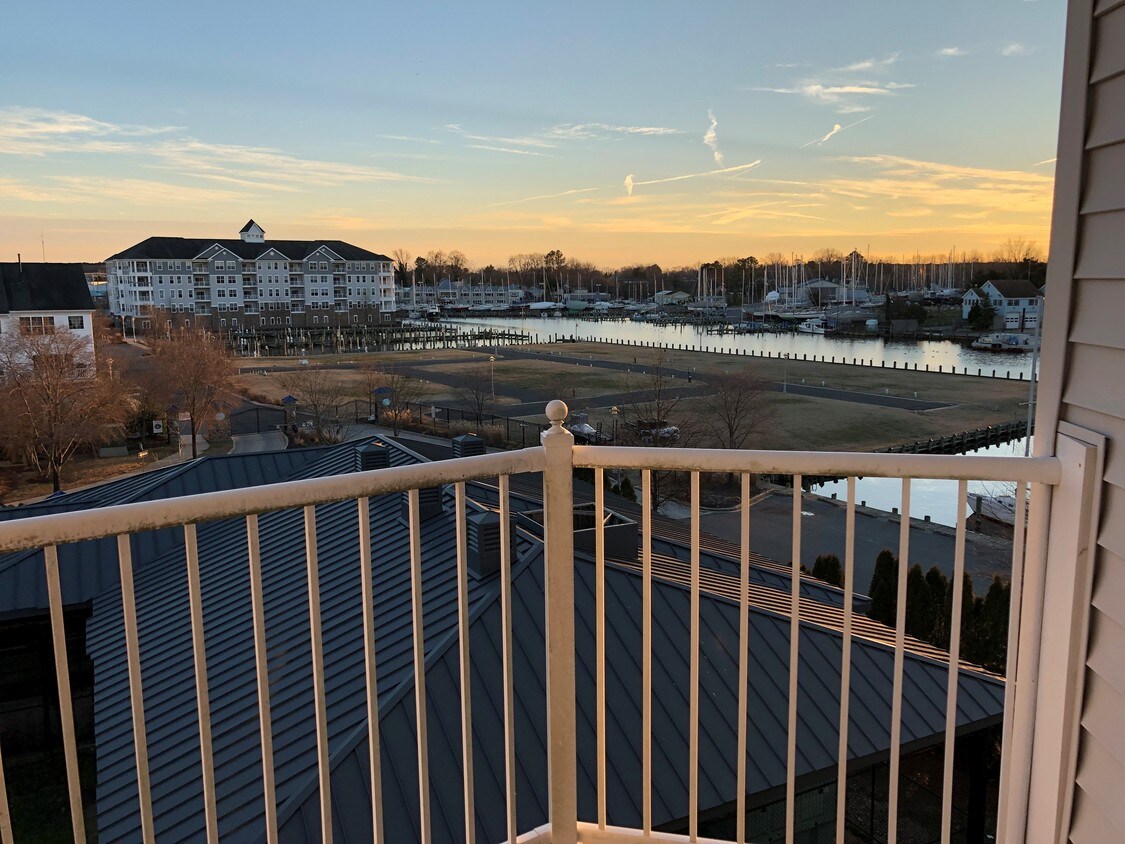 700 Cattail Cv Unit 310, Cambridge, MD 21613 Condo for Rent in Cambridge, MD