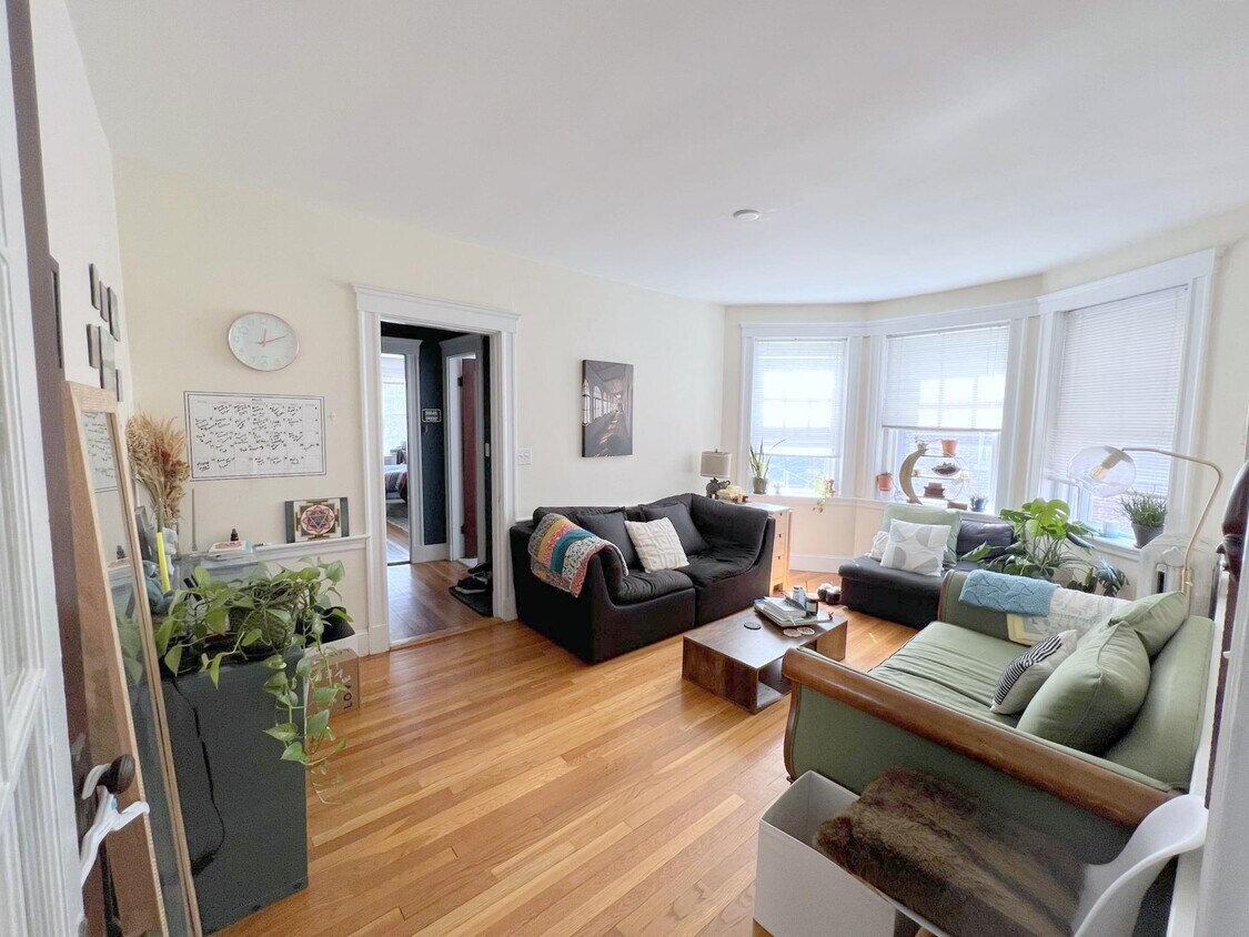 Primary Photo - 11 Ellery St