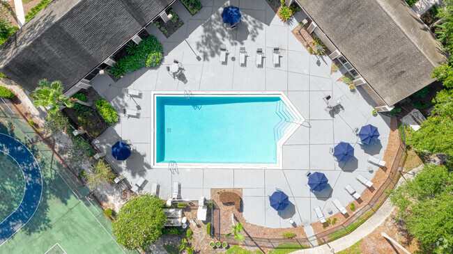 Piscina - The Avenues at Winter Springs