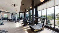 This expansive fitness center is thoughtfully designed to provide a comprehensive workout experience across multiple distinct zones. The space is defined by its dramatic floor-to-ceiling windows along one wall, framed in dark steel, which flood the interior with natural light and offer open views of the surrounding urban landscape and greenery beyond.

The cardio zone lines the window wall and is outfitted with premium Technogym equipment, including treadmills, ellipticals, a stair climber, stationary bikes, and rowing machines. Sleek pendant globe lights hang from the dark-painted ceiling in this area, complementing the contrast between the dark structural columns and the bright, sun-filled environment.

A dedicated strength training area features multiple power racks, benches, cable machines, and free weights, including a kettlebell rack. Floor-to-ceiling mirrors amplify the sense of space and provide visual feedback during workouts. Bold athletic artwork adorns the walls, adding an energetic aesthetic to the environment.

A functional training zone incorporates an agility ladder laid into the flooring and open space for movement-based exercises. The entry area transitions cleanly into the gym with polished flooring, ceiling fans, and a calm, airy ambiance. Throughout, the design balances industrial-modern elements with a bright, motivating atmosphere.