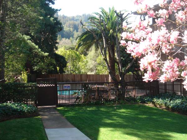 Primary Photo - 1115 Sir Francis Drake Blvd