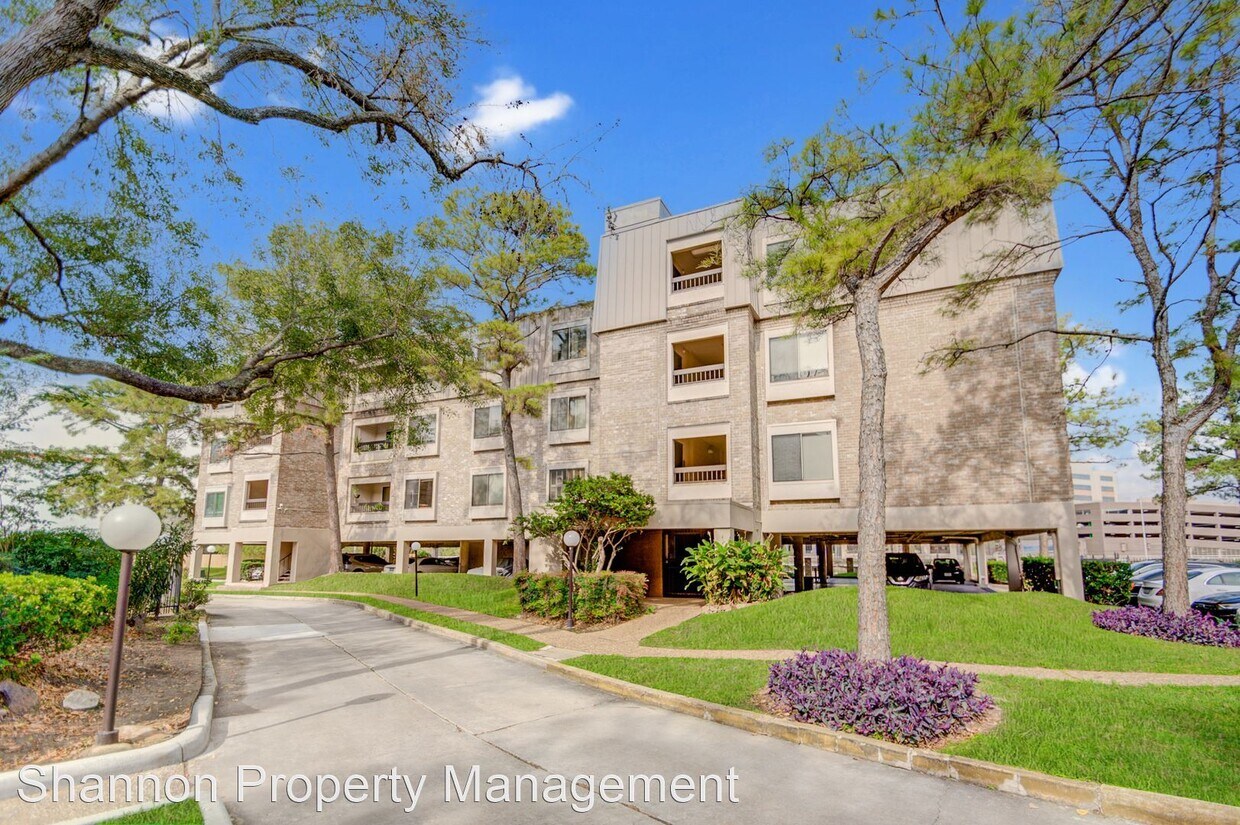 2213 S Braeswood Blvd, Houston, TX 77030