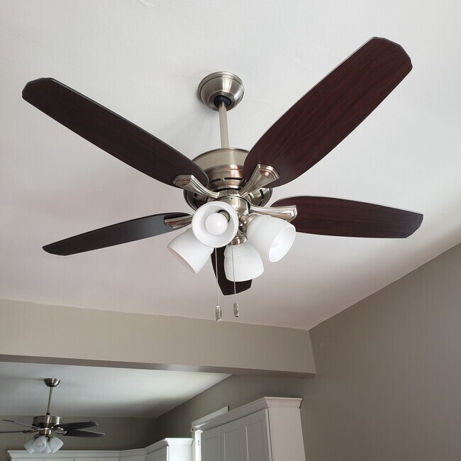 Ceiling Fans Throughout - 8421 Cohn St