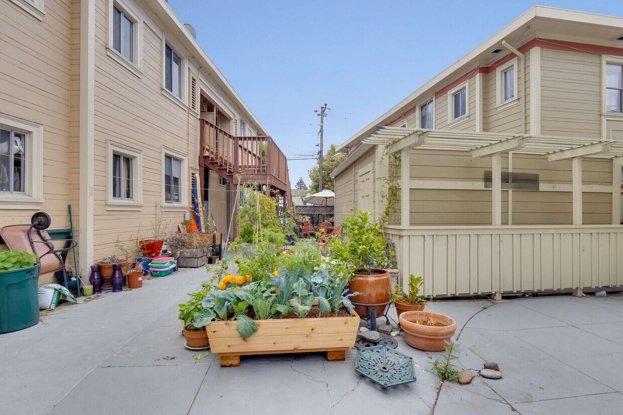 Primary Photo - 3818 Opal Street