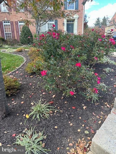 Building Photo - 5012 Cameo Terrace