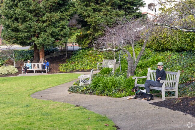 Residents of Piedmont take in fresh air views in the city parks.