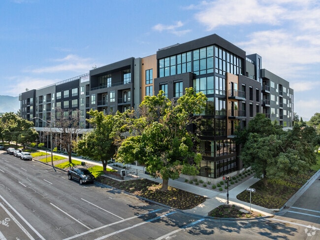 Primary - The Citizen