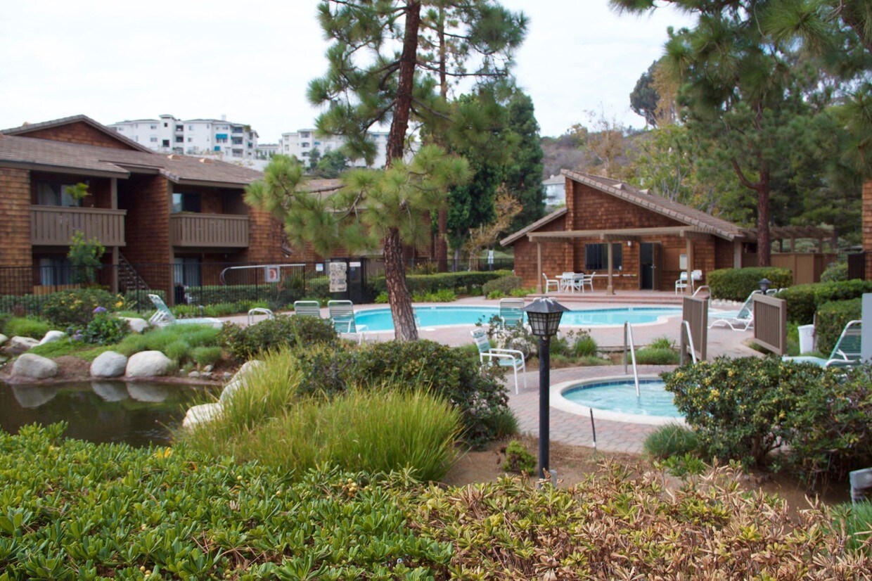 Association Pool and Spa - 33852 Del Obispo St