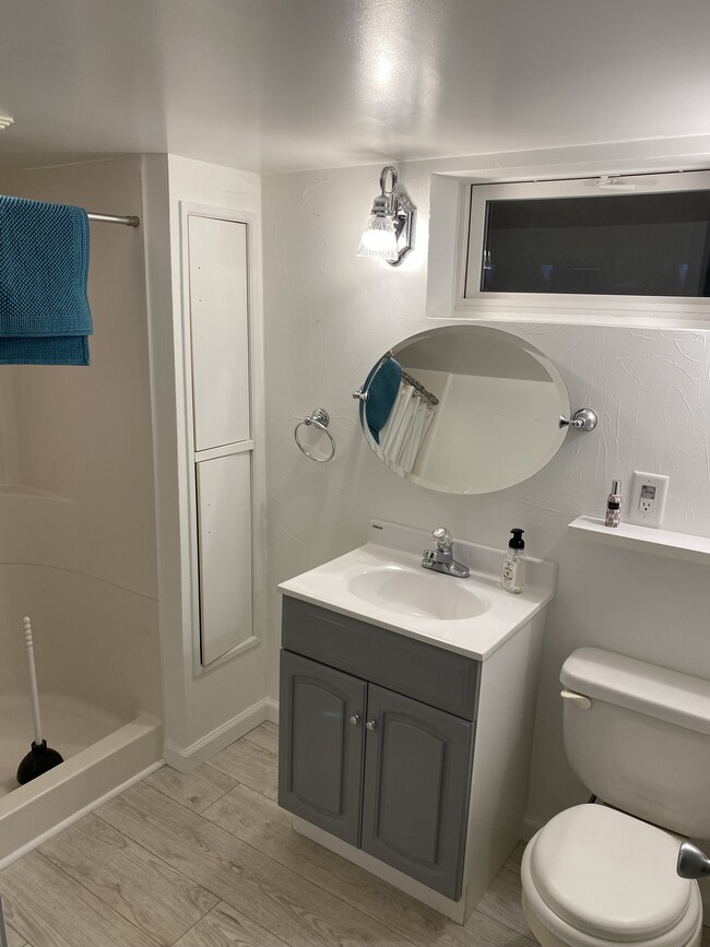 Basement Bathroom - 305 S Monroe St