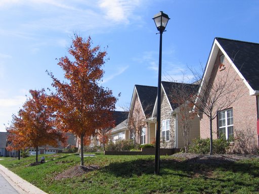 Primary Photo - 11220 Avocet Ln