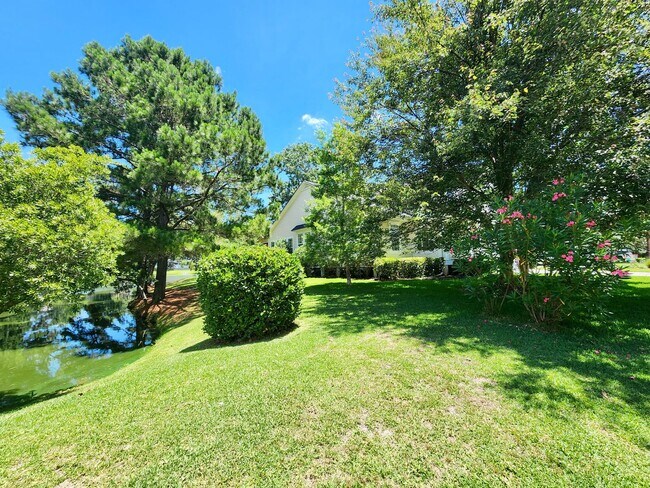 Building Photo - Stunning 4 bedroom home in Park West - Mt....