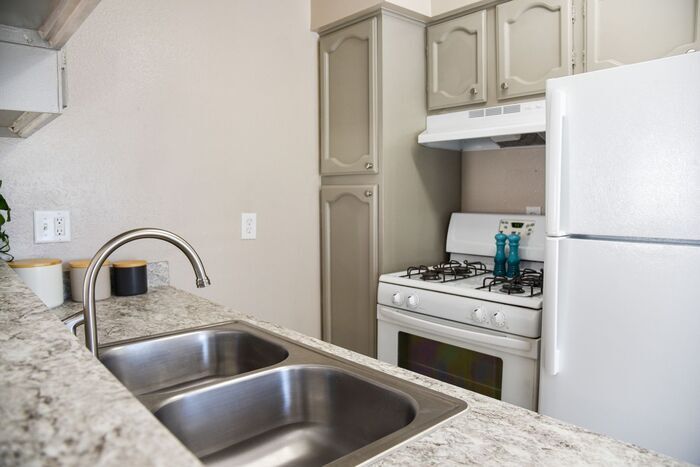 Primary Photo - Upgraded duplex on TAMU bus route