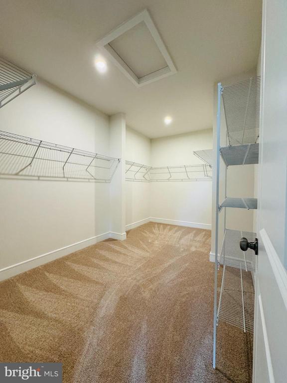 Building Photo - 139 Leather Flower Dr