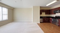 This 1-bedroom, 1-bathroom unit is designed with a clean, functional layout spread across a single floor. The open-concept living and dining area features warm beige walls, plush wall-to-wall carpeting that transitions seamlessly into hardwood-style flooring toward the kitchen, and large windows that invite an abundance of natural light throughout the space.

The kitchen is outfitted with rich dark mahogany cabinetry, sleek black countertops, and a full suite of stainless steel appliances, including a refrigerator, range, built-in microwave, and dishwasher. The kitchen opens directly to the living area, creating a connected and sociable flow.

The bedroom is generously proportioned, featuring soft carpeting, a ceiling fan with a light fixture, and a wide window with blinds that fills the room with daylight. A louvered closet door provides convenient storage access.

The bathroom offers a full tub and shower combination with classic fixtures, a pedestal sink, a framed mirror with vanity lighting, and a wall-mounted storage cabinet with a dark wood finish. Tile flooring and neutral walls round out the clean, practical aesthetic.

Overall, the unit maintains a consistent warm, neutral palette throughout, offering a bright and comfortable living environment well-suited for everyday functionality.