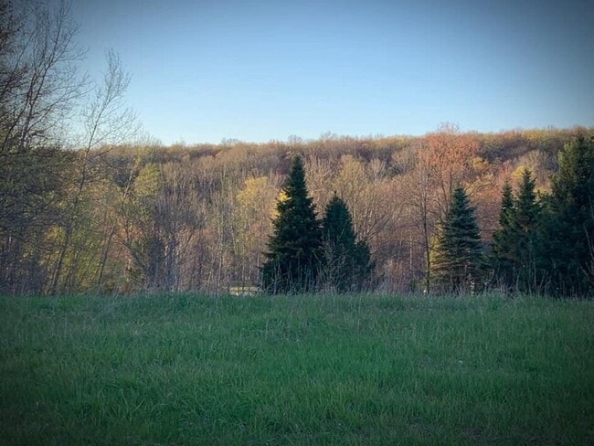 Patio trasero al aire libre - 7048 W 38 Rd