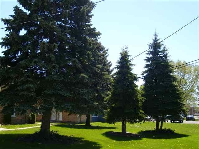  - 2210-2214 Allied Dr