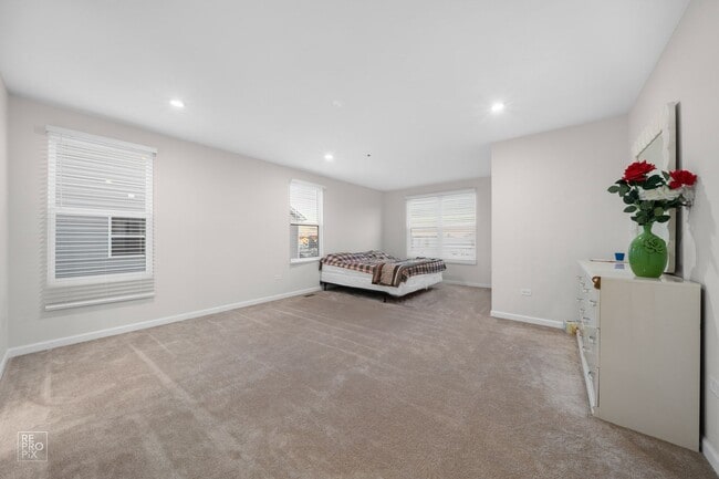 Building Photo - South Naperville Executive Style Rental First Floor Bed and Bath