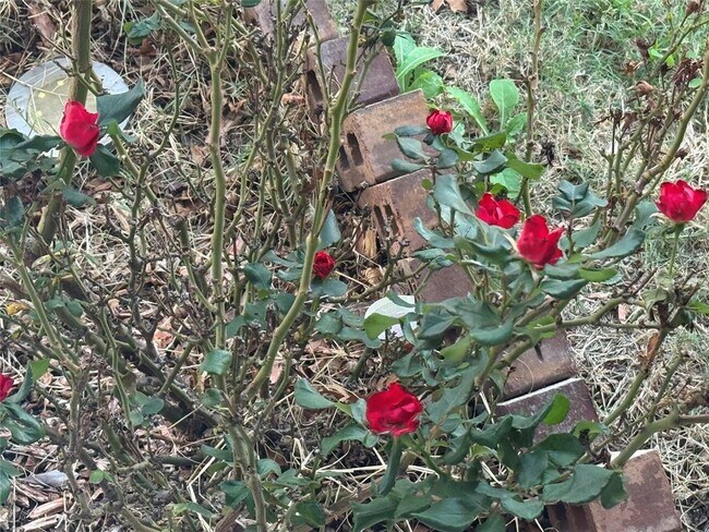 Foto del edificio - 4433 Venticano Pl