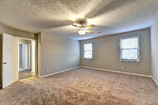 Building Photo - Newly Renovated Beautiful Home