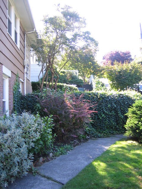 Building Photo - 2938 2nd Ave N