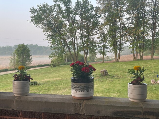 View from porch - W5198 Advance Rd