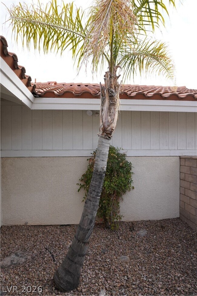 Building Photo - 8328 Del Rey Ave