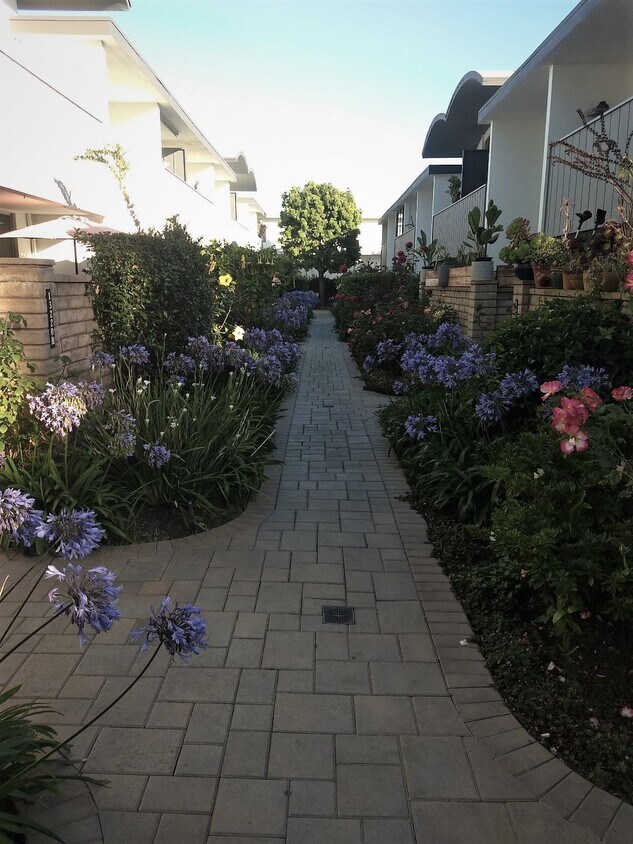 13220 Admiral Ave, Marina Del Rey, CA 90292 Townhome Rentals in