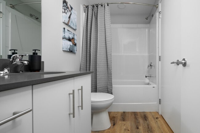 Interior Photo - Trio