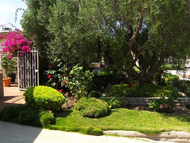 Building Photo - 809 N Paulina Ave