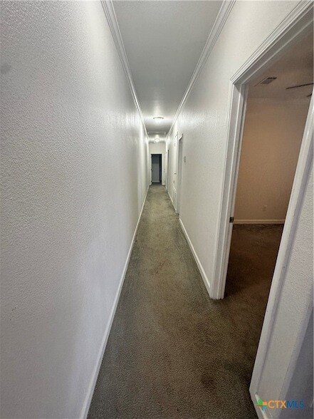 Foto del edificio - 203 Palmwood Dr