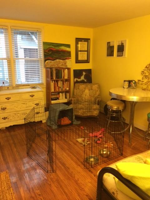 Foto principal - 486 Ashland Ave