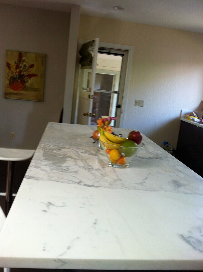 carrera marble countertop - 255 Deanna Pl