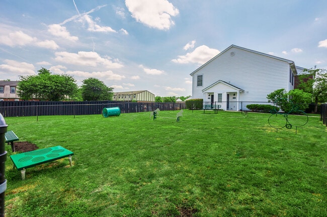 Ventajas para quienes tienen mascotas en los apartamentos Alkire Glen - Alkire Glen