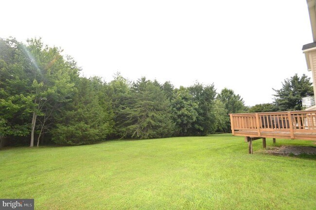 Building Photo - 25461 Lemon Tree Pl
