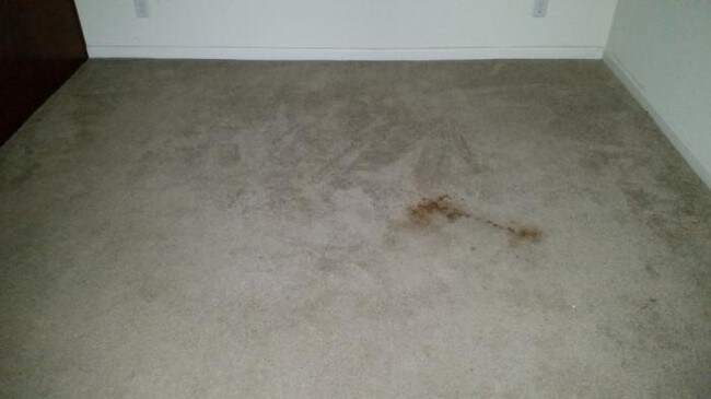 Foto del edificio - 3 bedroom in Louisville KY 40210