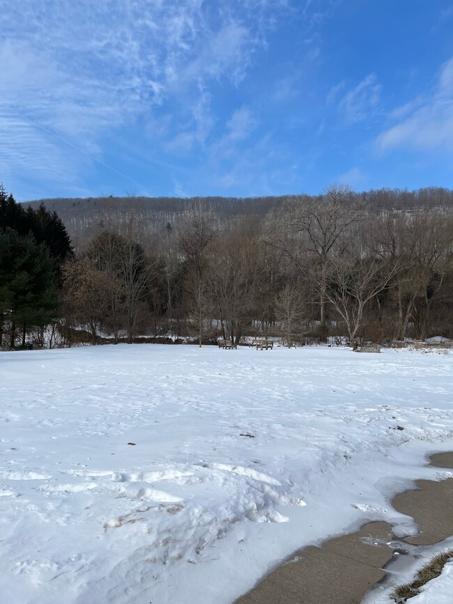 Yard - 2785 Hills Creek Rd