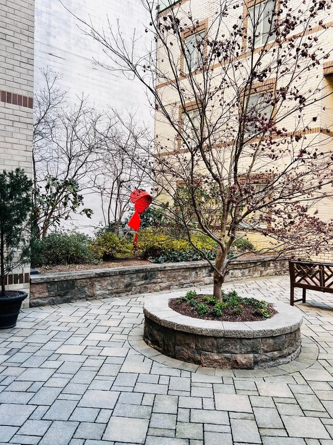 Photo - 2141 Wisconsin Ave NW Apartment