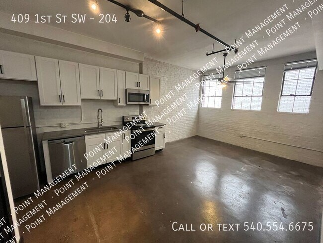 Building Photo - Studio Apt in DOWNTOWN ROANOKE!