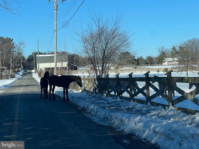 Building Photo - 46 Buck Dr