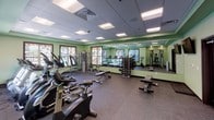 Located at 4801 Signal Tree Dr in Fort Collins, Colorado, this fitness center offers a well-appointed, single-floor exercise facility designed to support a comprehensive workout experience. The room is finished with sage green walls accented by dark wood-trimmed window frames, creating a fresh and energizing atmosphere. A drop-panel ceiling with recessed fluorescent lighting ensures the space is consistently and evenly illuminated throughout.

The facility is generously equipped with a wide array of cardio machines, including multiple treadmills, elliptical trainers, and stationary bicycles, arranged to maximize usability and flow. Strength training is well represented through a cable/pulley multi-station machine, a dumbbell rack with a full range of free weights, and adjustable workout benches. A wall-length mirror along one side of the room visually expands the space while allowing users to monitor their form during exercise.

Dark rubber flooring throughout provides durability and safety underfoot. Large windows along the perimeter admit ample natural light and offer views of an adjacent outdoor pool and surrounding structures. A wall-mounted flat-screen television adds a media option for users. Double glass-panel doors provide easy access in and out of the facility, contributing to an open and welcoming environment.